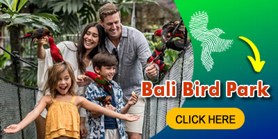 all-balibirdpark-click ATV Home 11