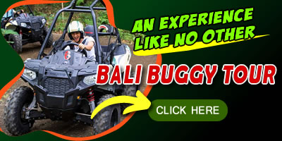 all-balibuggy-click ATV Home 8