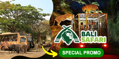 all-balisafari-click ATV Home 10