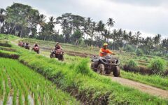 atv-bongkasa-4