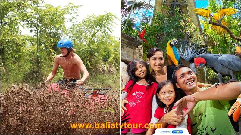 bali-atv-ride-bali-bird-park-tour Bali ATV Ride, Bali Bird Park Tour 2