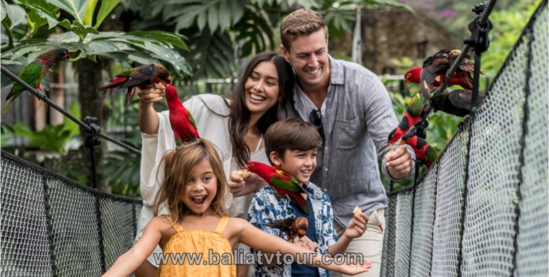 Bali ATV Ride, Bali Bird Park Tour 7