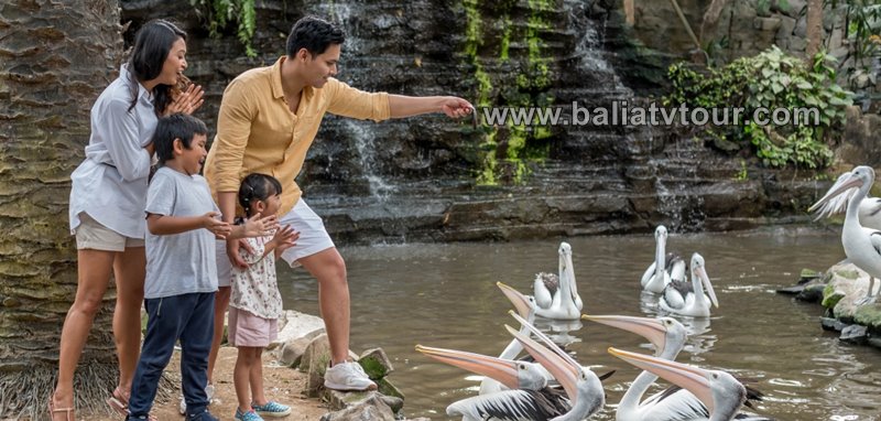 Bali ATV Ride, Bali Bird Park Tour 8