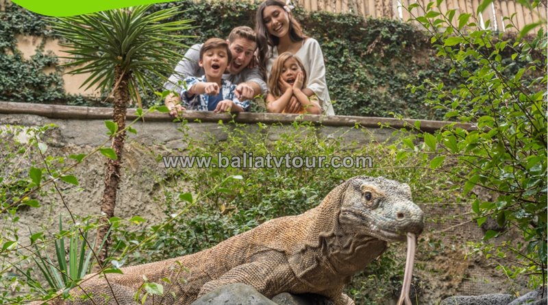 Bali ATV Ride, Bali Bird Park Tour 6