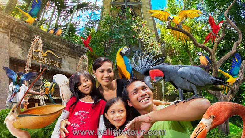 Bali ATV Ride, Bali Bird Park Tour 3