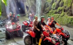 bali-green-atv2 bali-green-atv2