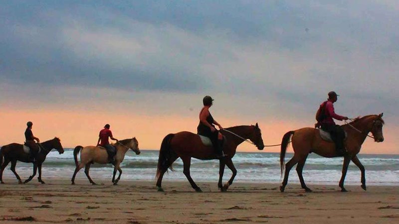 Bali ATV Ride, Horse Ride Tour 5