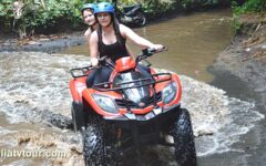 bali-taro-atv-03 bali-taro-atv-03