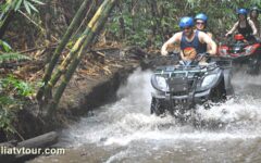 bali-taro-atv-04 bali-taro-atv-04