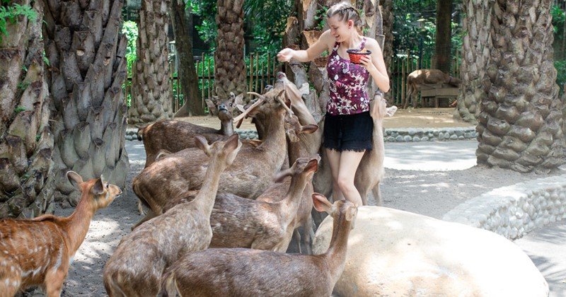Bali ATV Ride & Breakfast with Orang Utan 4