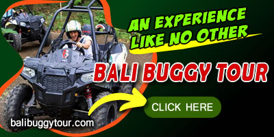 balibuggytour-click BALI ADVENTURES 2024 3
