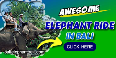 balielephant-click BALI ADVENTURES 2024 2