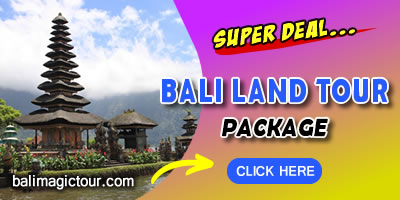 balilandtour-click BALI ADVENTURES 2024 12