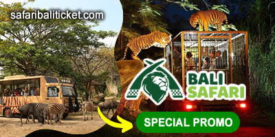 balisafari-click BALI ADVENTURES 2024 5