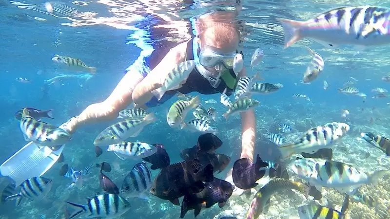 Bali ATV Ride, Blue Lagoon Snorkeling Tour 5