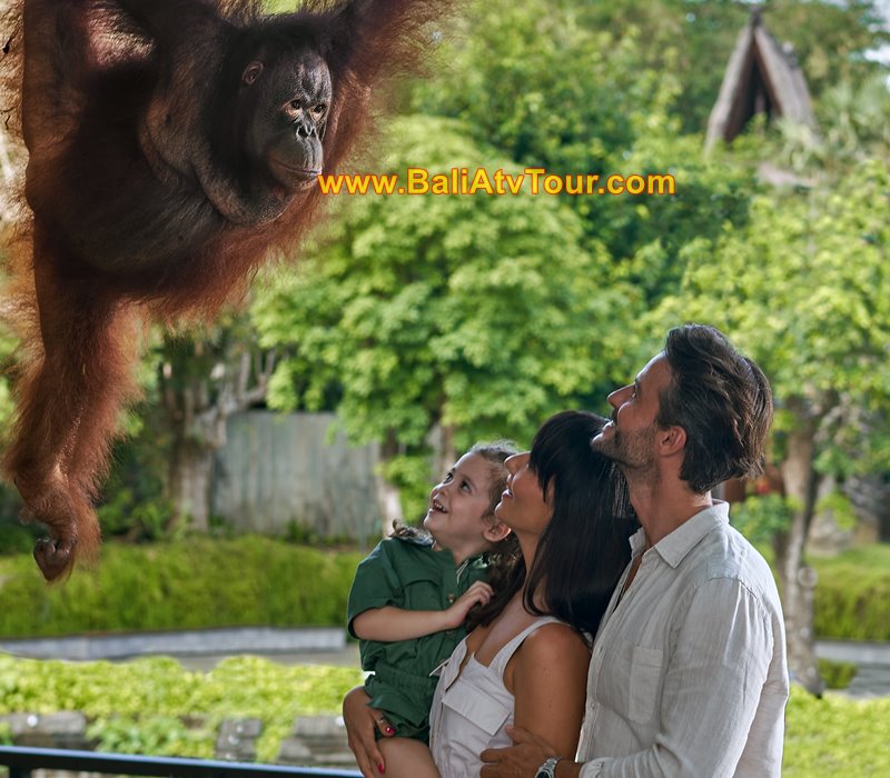 Bali ATV Ride & Breakfast with Orang Utan 3