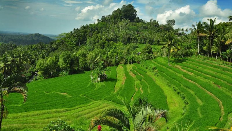 Bali ATV Ride, Mother Temple Tour 6