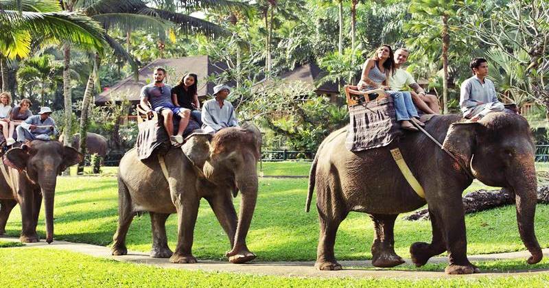 Bali ATV Ride, Elephant Tour 8
