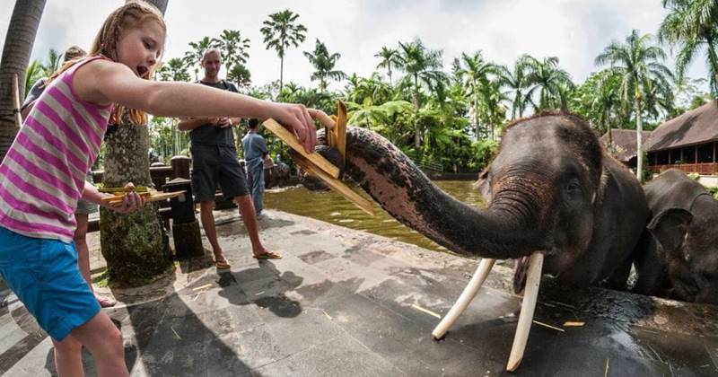 Bali ATV Ride, Hand Washing Elephant Tour 6