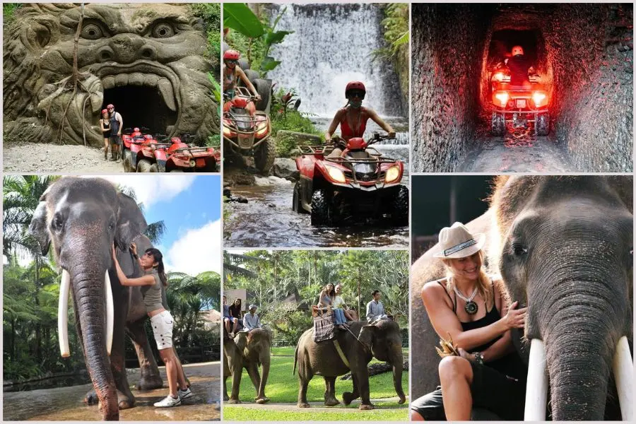 gr01-gorilla-atv-bathing-elephant Gorilla Cave ATV Combination Packages 1