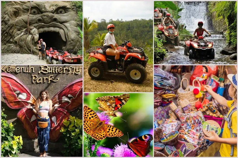 gr08-gorilla-atv-butterfly-park Gorilla Cave ATV Combination Packages 8