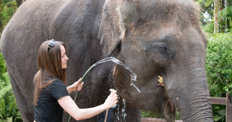 KUBER ATV Ride + Bathing Elephant Tour 10