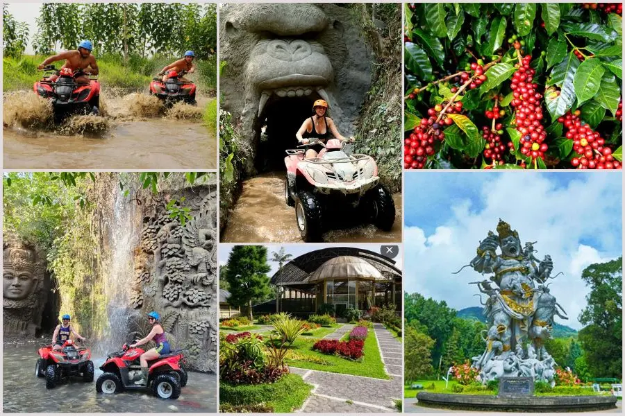 kk20-kingkong-atv-botanical-garden Kingkong Cave ATV Combination Packages 20