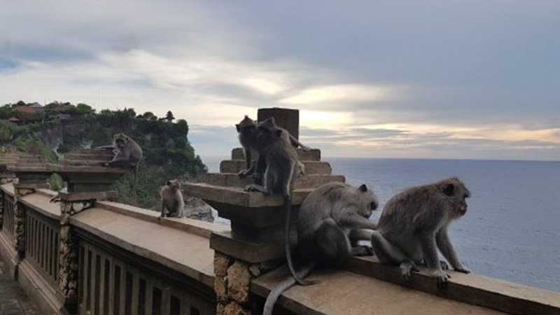 Bali ATV Ride, Uluwatu Temple Tour 9
