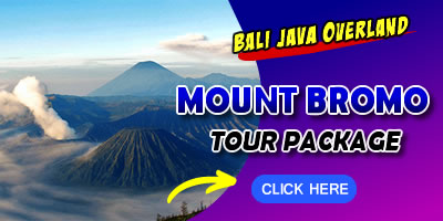 mtbromotour-click BALI ADVENTURES 2024 14