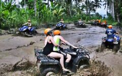 payangan-atv-st payangan-atv-st