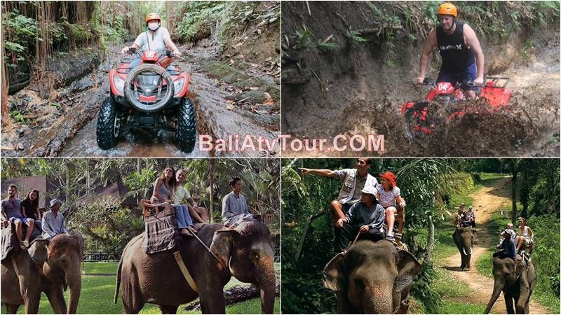Bali ATV Ride, Elephant Tour 1