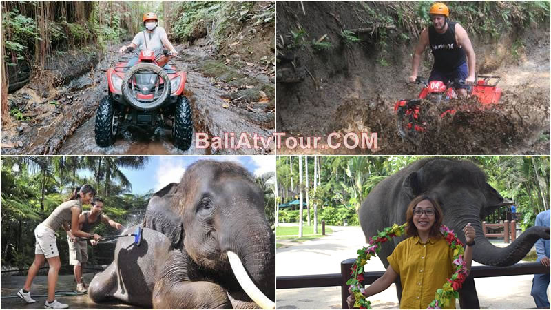 Bali ATV Ride, Hand Washing Elephant Tour 1