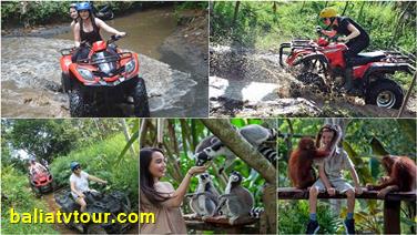 sssp13-bali-atv-bali-zoo The Top Bali ATV Combination Packages 13