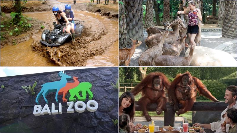 Bali ATV Ride & Breakfast with Orang Utan 1