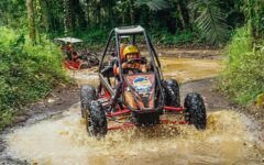 utv-buggy-bongkasa-01 utv-buggy-bongkasa-01